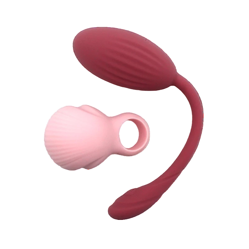 Oeuf connecté "TAMA"