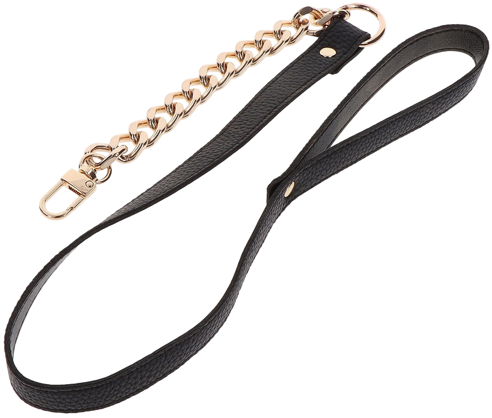 Collier et Laisse SM Premium Taboom